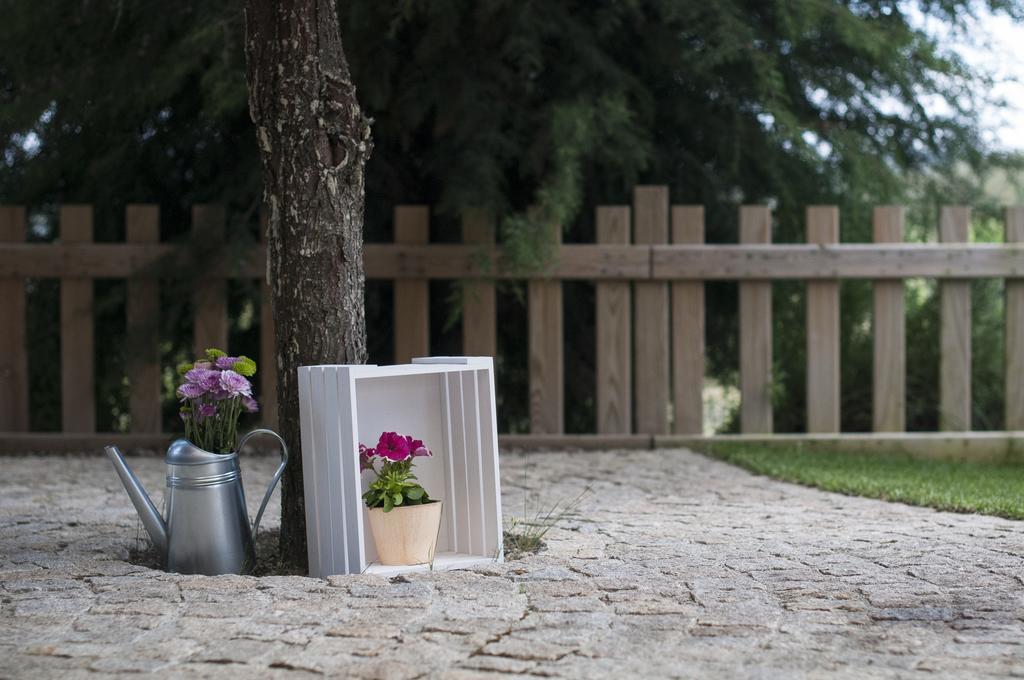Quinta Do Medronheiro Hotel Rural Визеу Экстерьер фото